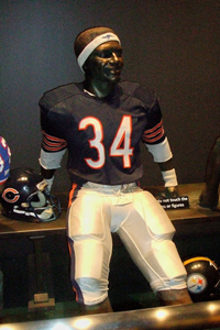 Pro Football Hall of Fame 51.JPG